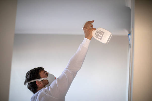 Best Crawl Space Mold Removal  in Loyola, CA
