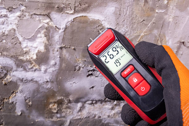 Best Office Mold Removal Services  in Loyola, CA