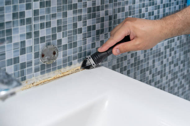 Best Emergency Mold Removal  in Loyola, CA